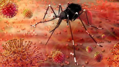 First Zika Virus in this year 2024 in maharashtra pune.