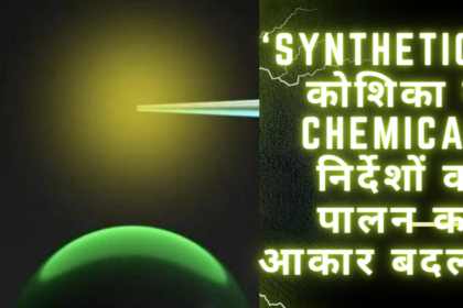 Synthetic cell, कोशिका ने chemical निर्देशों का पालन कर आकार बदला